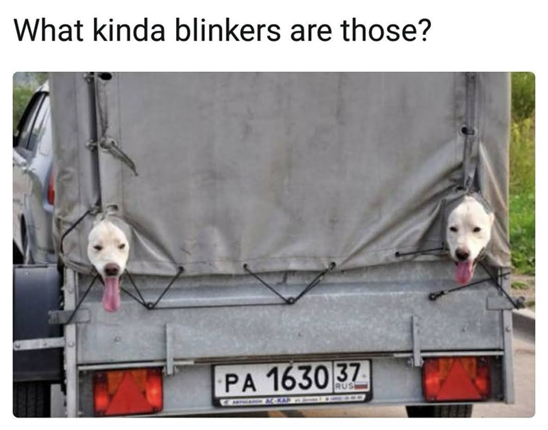 What kinda blinkers are those? PA 1630 37 CARTOLAN ACCRAP RUS