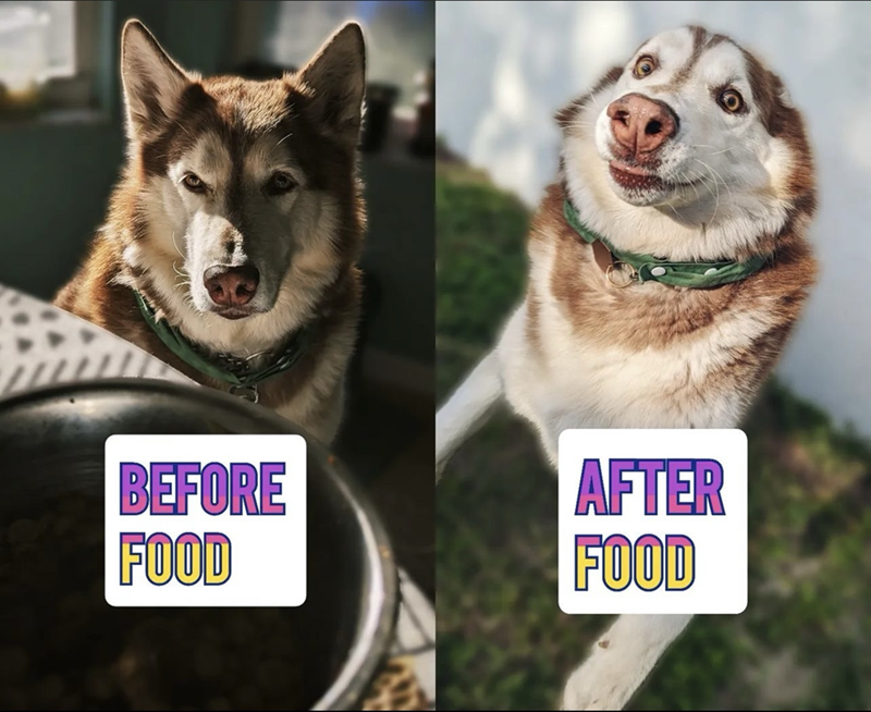 BEFORE FOOD AFTER FOOD