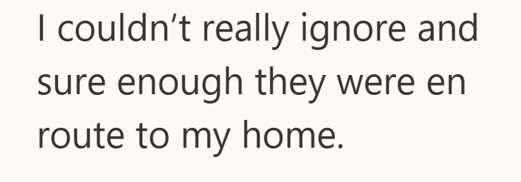 I couldn't really ignore and sure enough they were en route to my home.
