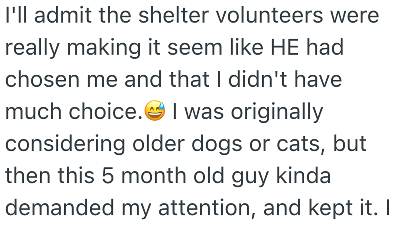 I'll admit the shelter volunteers were really making it seem like HE had chosen me and that I didn't have much choice. I was originally considering older dogs or cats, but then this 5 month old guy kinda demanded my attention, and kept it. I