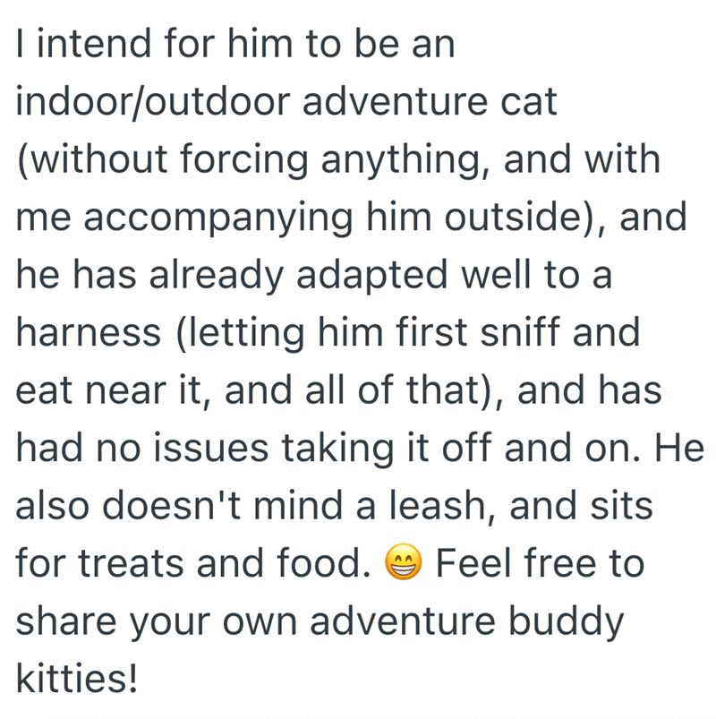 I intend for him to be an indoor/outdoor adventure cat (without forcing anything, and with me accompanying him outside), and he has already adapted well to a harness (letting him first sniff and eat near it, and all of that), and has had no issues taking it off and on. He also doesn't mind a leash, and sits AA for treats and food. Feel free to share your own adventure buddy kitties!