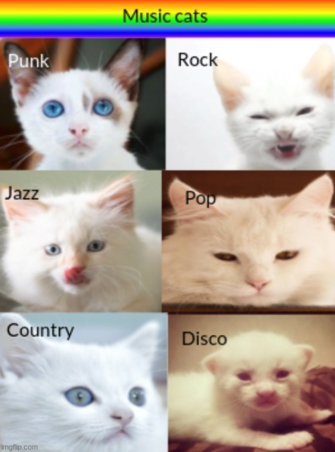 Punk Music cats Rock Jazz Pop Country Disco imgflip.com