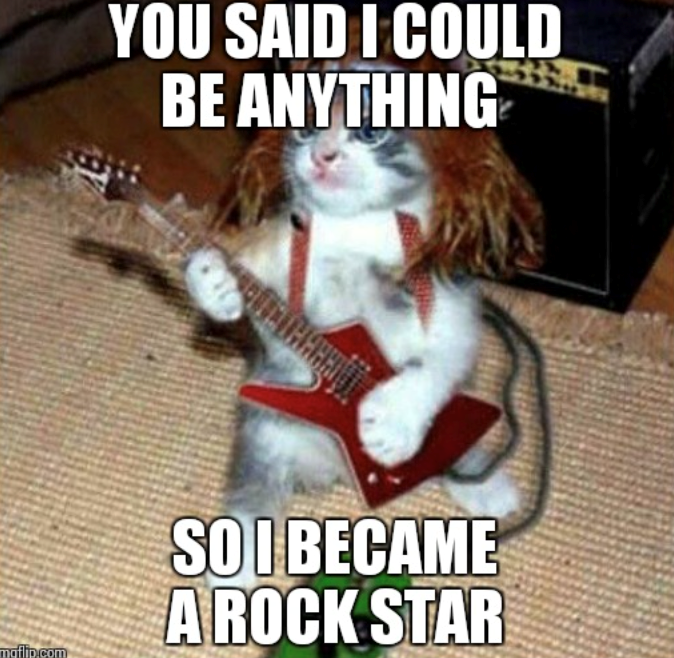 maflip.com YOU SAID I COULD BE ANYTHING SO I BECAME A ROCK STAR
