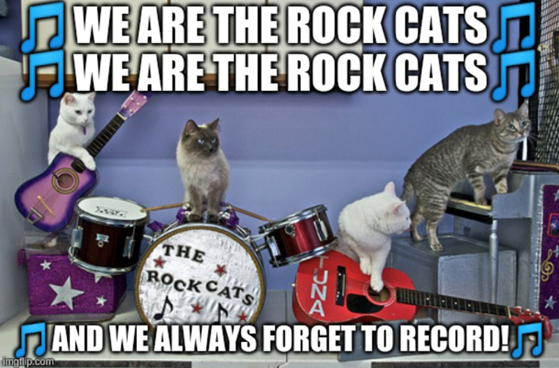 WE ARE THE ROCK CATS J WE ARE THE ROCK CATS CE imgflip.com * THE ROCK CATS DZC AND WE ALWAYS FORGET TO RECORD!