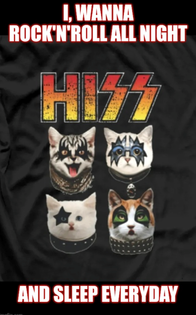 I, WANNA ROCK'N'ROLL ALL NIGHT H177 imaflin AM AND SLEEP EVERYDAY