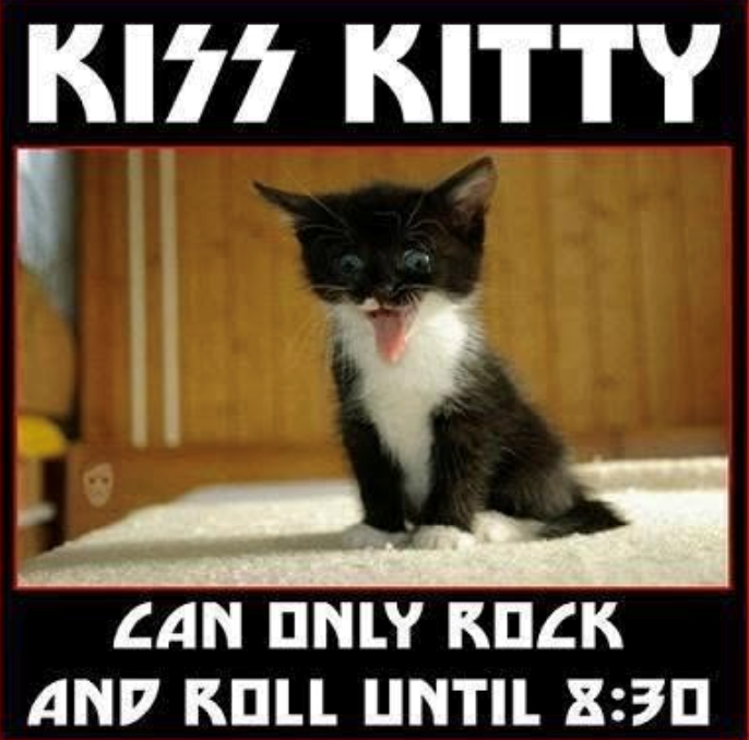 KISS KITTY B CAN ONLY ROCK AND ROLL UNTIL 8:30