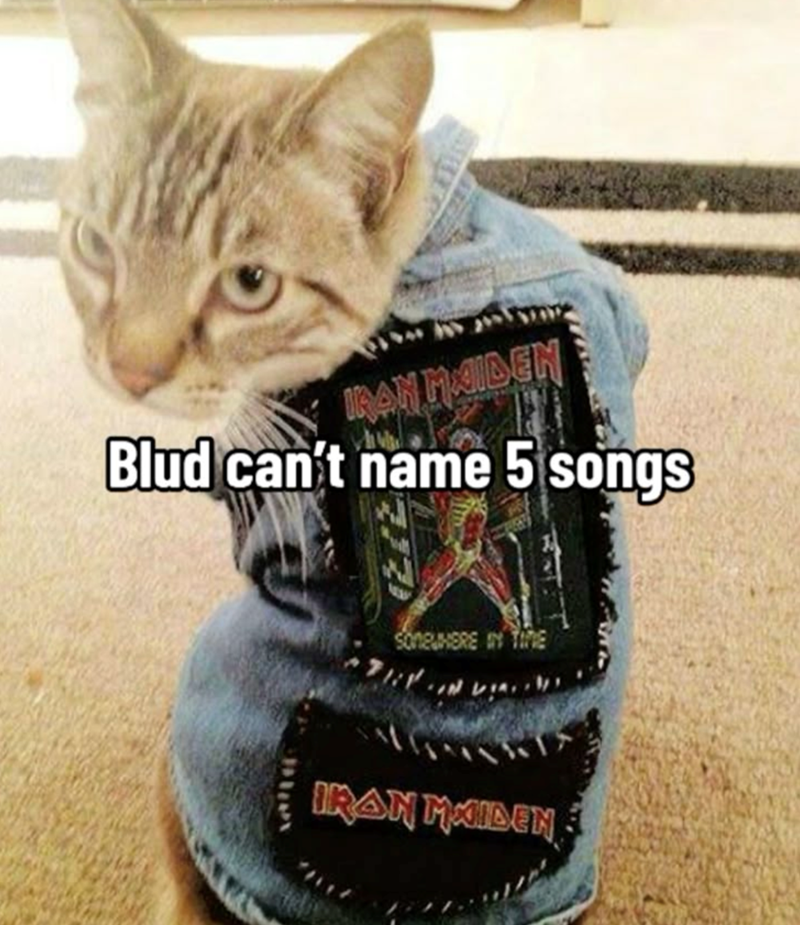 IRAN MAIDEN Blud can't name 5 songs IRAN MAIDEN
