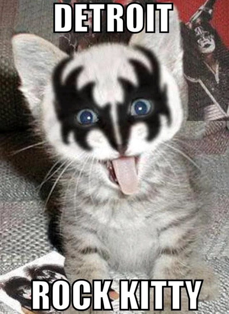 DETROIT ROCK KITTY