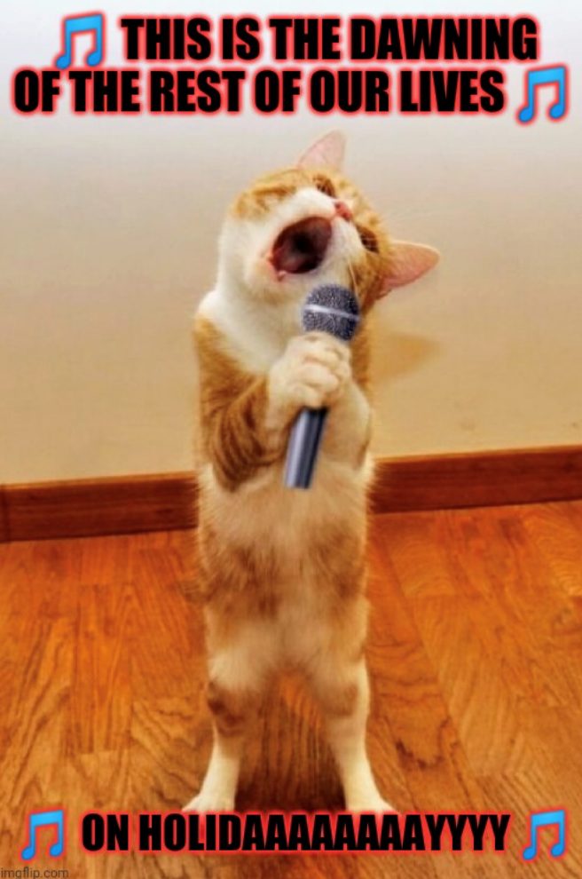 THIS IS THE DAWNING OF THE REST OF OUR LIVES ♫ imgflip.com ON HOLIDAAAAAAAAYYYY