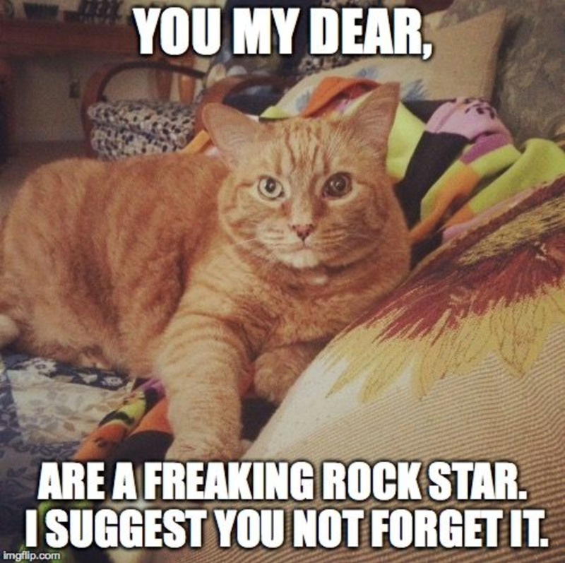 YOU MY DEAR. ARE A FREAKING ROCK STAR. I SUGGEST YOU NOT FORGET IT. imgflip.com