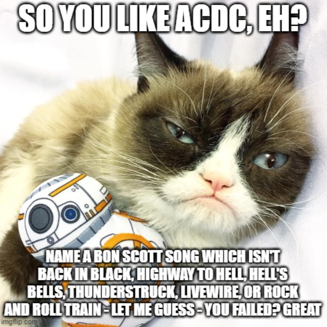 SO YOU LIKE ACDC, EH? NAME A BON SCOTT SONG WHICH ISN'T BACK IN BLACK, HIGHWAY TO HELL, HELL'S BELLS, THUNDERSTRUCK, LIVEWIRE, OR ROCK AND ROLL TRAIN-LET ME GUESS-YOU FAILED? GREAT imgflip.com