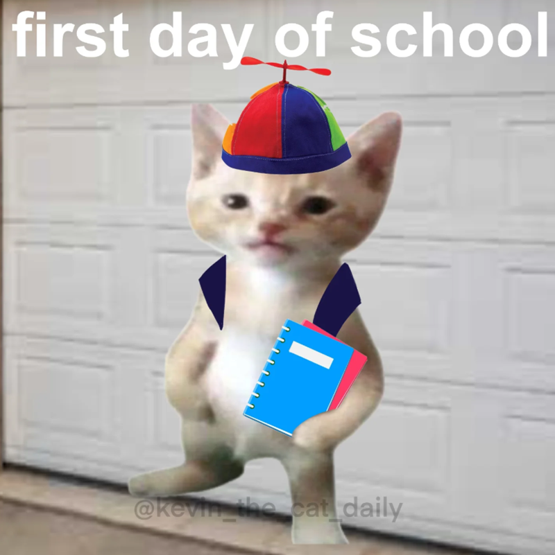 first day of school @kevin the cat daily