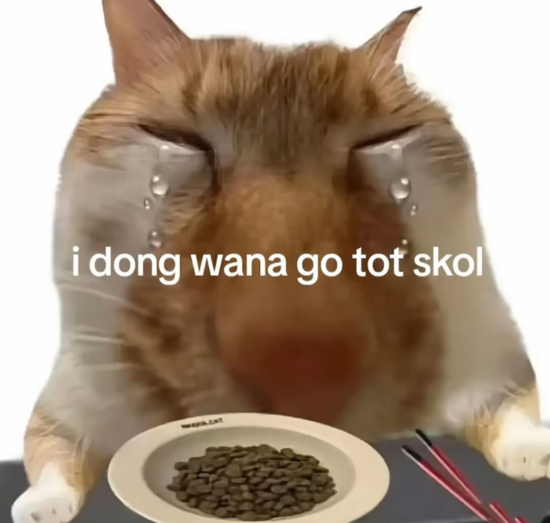 i dong wana go tot skol 5121