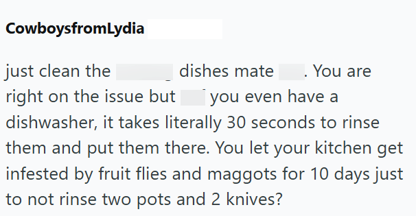 CowboysfromLydia just clean the right on the issue but dishes mate You are you even have a dishwasher, it takes literally 30 seconds to rinse them and put them there. You let your kitchen get infested by fruit flies and maggots for 10 days just to not rinse two pots and 2 knives?
