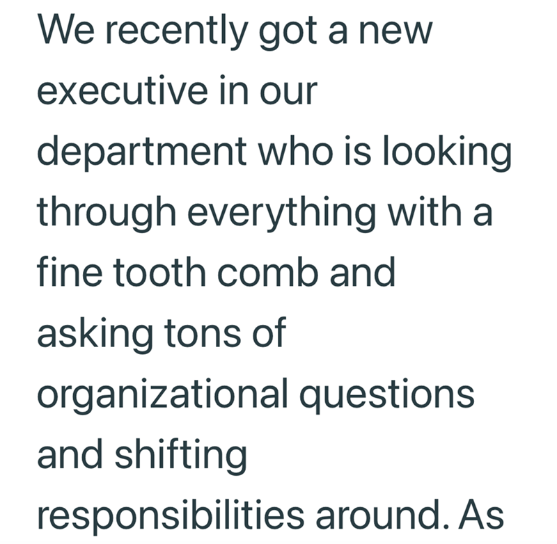 We recently got a new executive in our department who is looking through everything with a fine tooth comb and asking tons of organizational questions and shifting responsibilities around. As