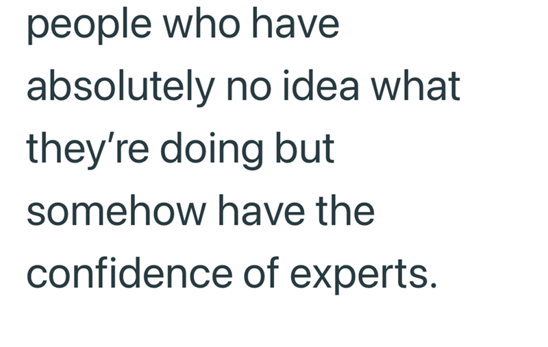 people who have absolutely no idea what they're doing but somehow have the confidence of experts.