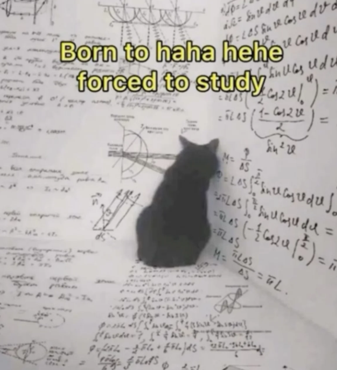 97 =S Born to haha hehed forced to study inues udu =5205/1-1220 MAS = = rills & * = LAS (-162241)=; LAS TILAS M==L.