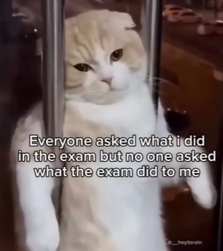 Everyone asked what i did in the exam but no one asked what the exam did to me heyitsrain