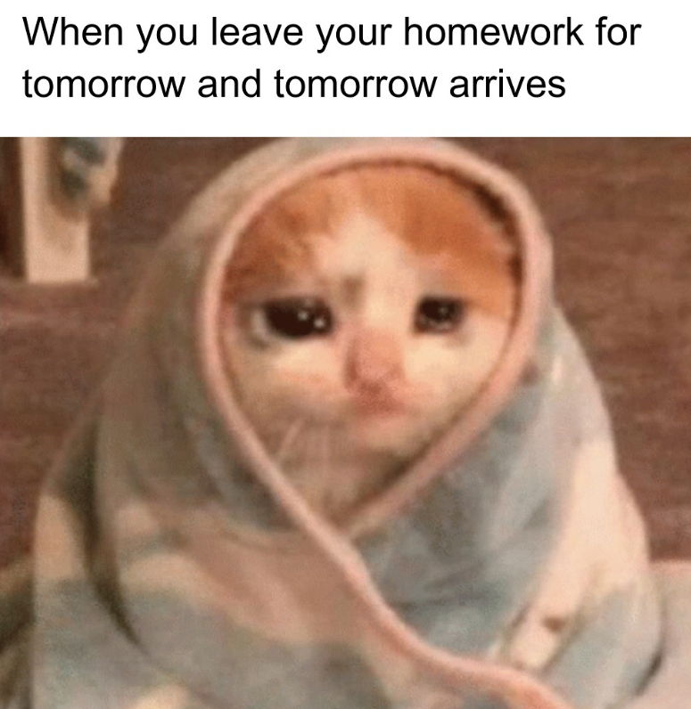 When you leave your homework for tomorrow and tomorrow arrives