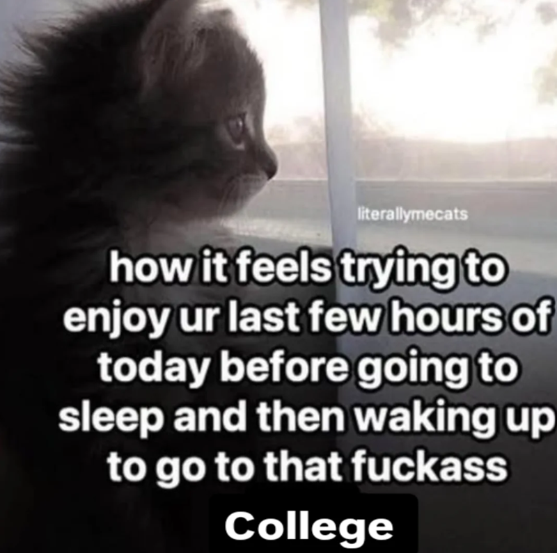 literallymecats how it feels trying to enjoy ur last few hours of today before going to sleep and then waking up to go to that fuckass College