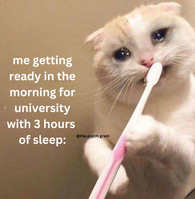 me getting ready in the morning for university with 3 hours of sleep: @the.psych.gram