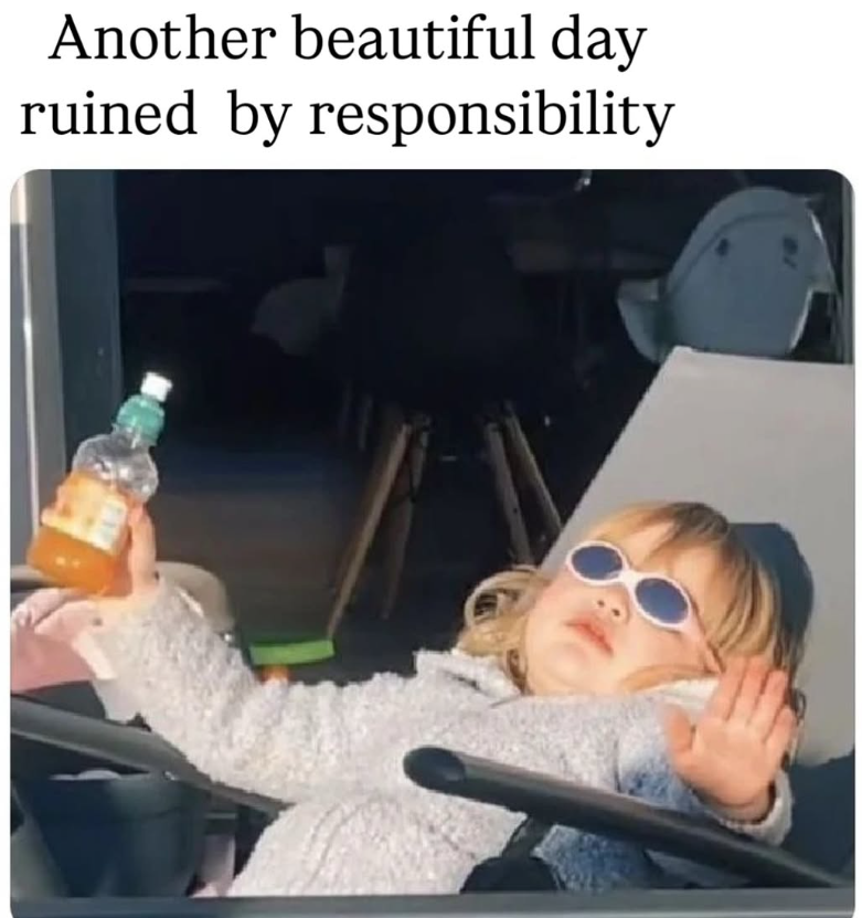 Another beautiful day ruined by responsibility