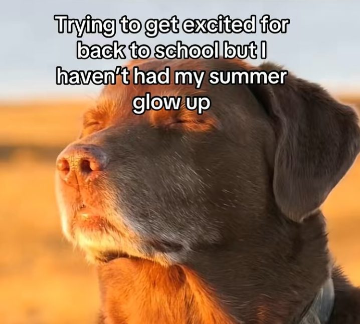 Trying to get excited for back to school but I haven't had my summer glow up