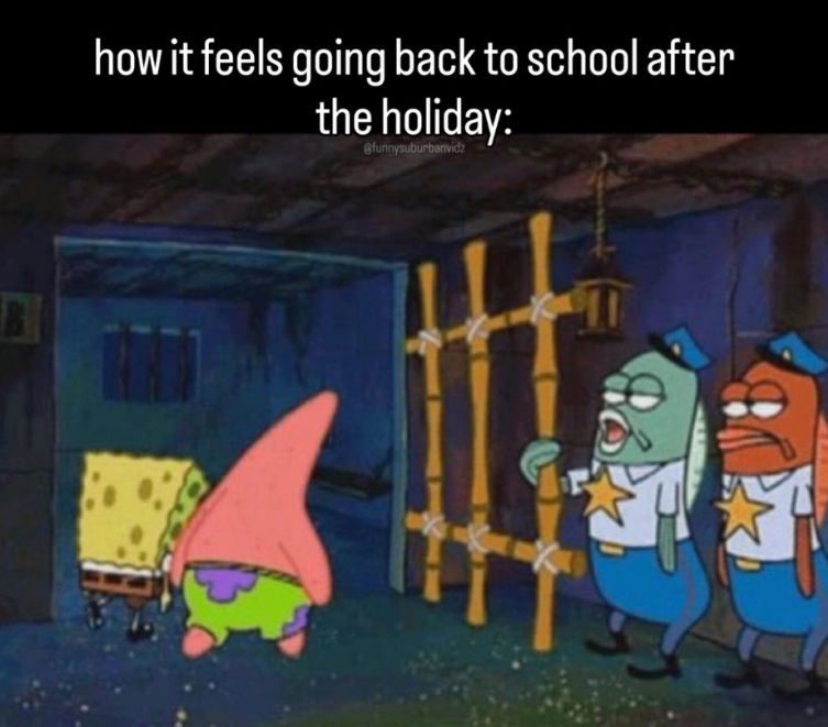how it feels going back to school after the holiday: @funnysuburbanvidz