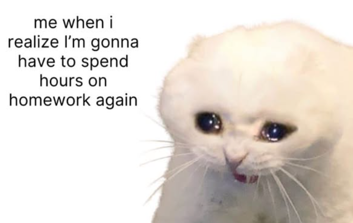 me when i realize I'm gonna have to spend hours on homework again