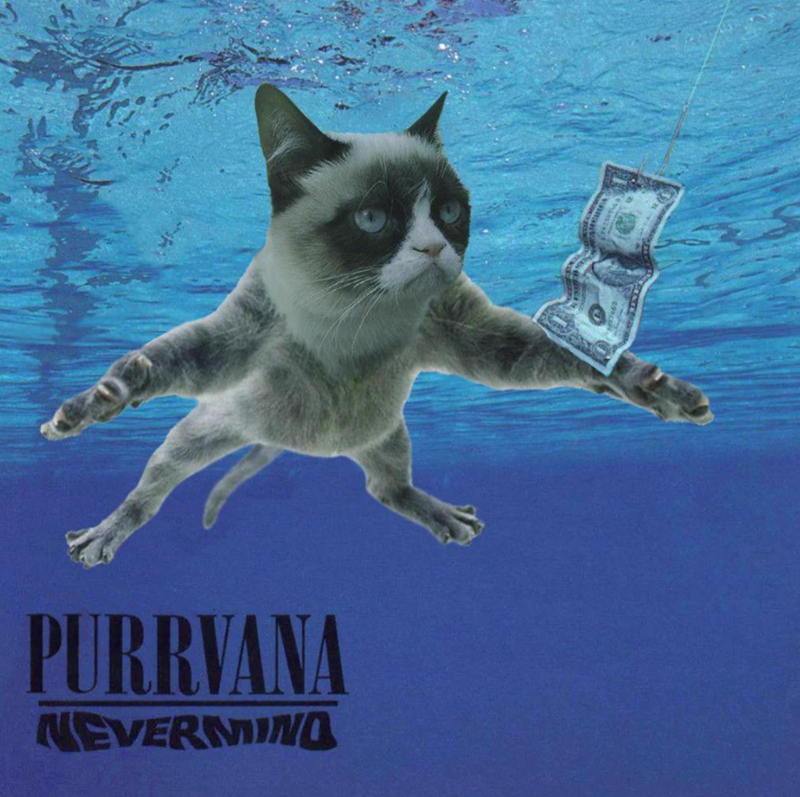 PURRVANA NEVERMINO
