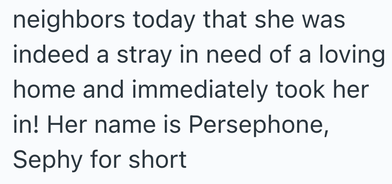 neighbors today that she was indeed a stray in need of a loving home and immediately took her in! Her name is Persephone, Sephy for short
