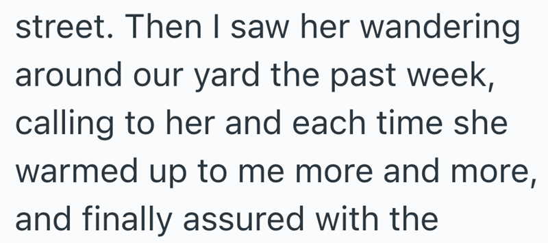 street. Then I saw her wandering around our yard the past week, calling to her and each time she warmed up to me more and more, and finally assured with the