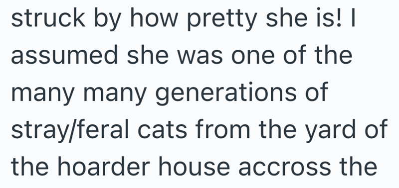 struck by how pretty she is! I assumed she was one of the many many generations of stray/feral cats from the yard of the hoarder house accross the