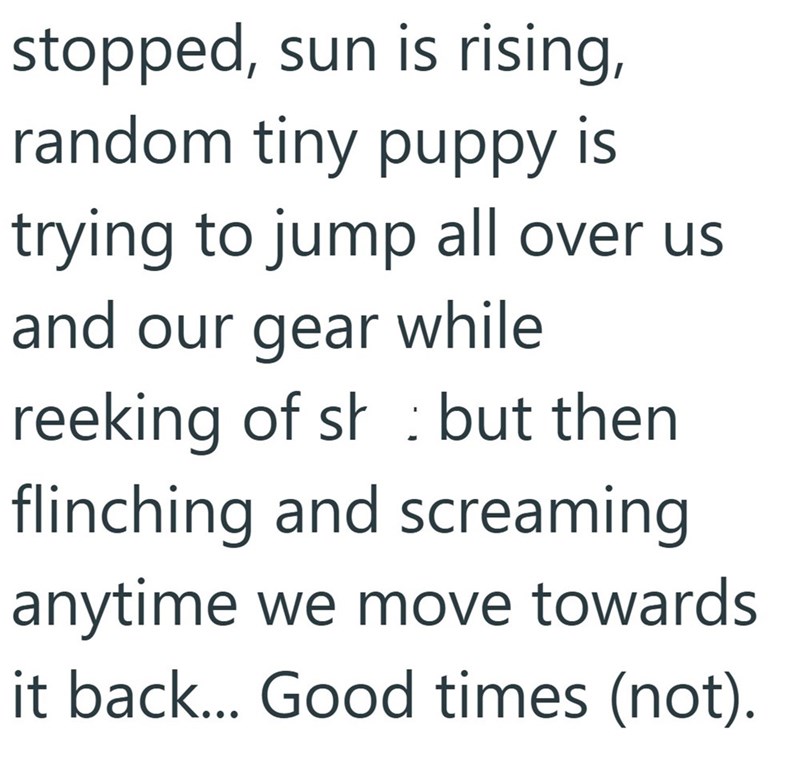 stopped, sun is rising, random tiny puppy is trying to jump all over us and our gear while reeking of sh but then : flinching and screaming anytime we move towards. it back... Good times (not).