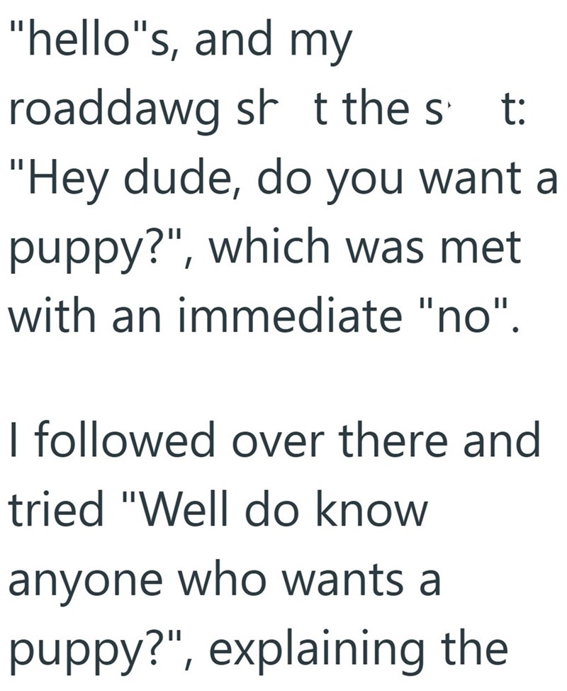 "hello"s, and my roaddawg sh t the st: "Hey dude, do you want a puppy?", which was met with an immediate "no". I followed over there and tried "Well do know anyone who wants a puppy?", explaining the