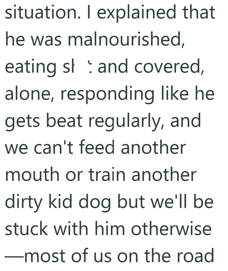 situation. I explained that he was malnourished, eating sh and covered, alone, responding like he gets beat regularly, and we can't feed another mouth or train another dirty kid dog but we'll be stuck with him otherwise ―most of us on the road