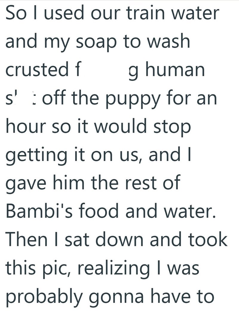 So I used our train water and my soap to wash crusted f g human s' off the puppy for an hour so it would stop getting it on us, and I gave him the rest of Bambi's food and water. Then I sat down and took this pic, realizing I was probably gonna have to