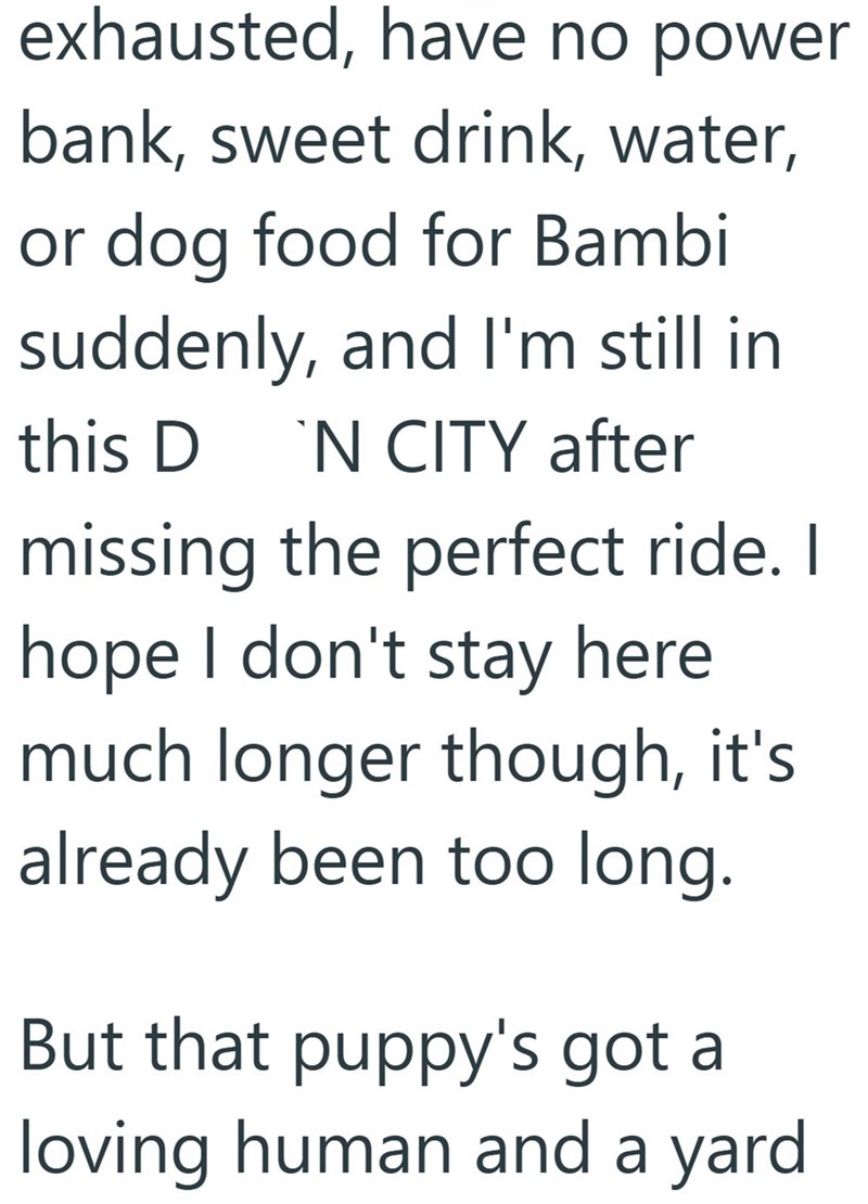exhausted, have no power bank, sweet drink, water, or dog food for Bambi suddenly, and I'm still in this D 'N CITY after missing the perfect ride. I hope I don't stay here much longer though, it's already been too long. But that puppy's got a loving human and a yard