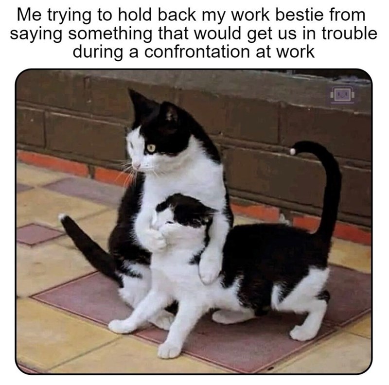 Me trying to hold back my work bestie from saying something that would get us in trouble during a confrontation at work