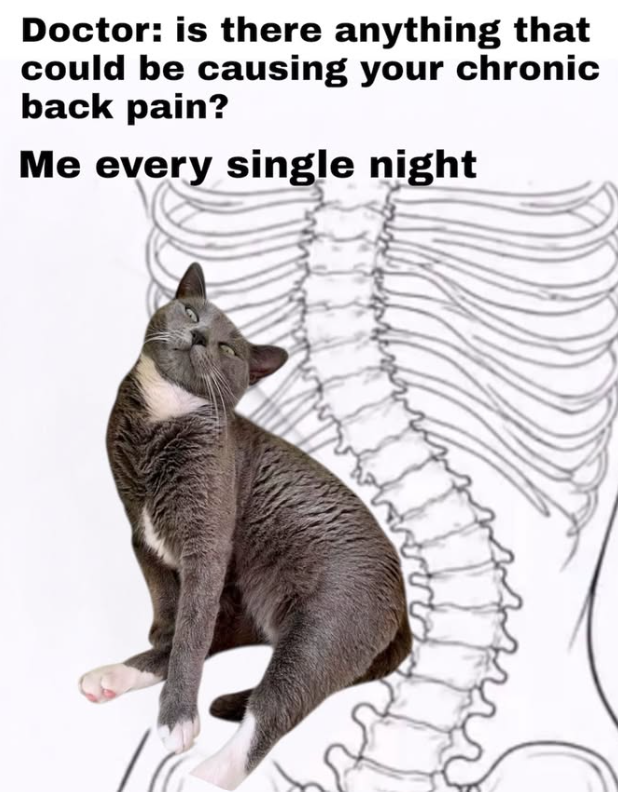 Doctor: is there anything that could be causing your chronic back pain? Me every single night