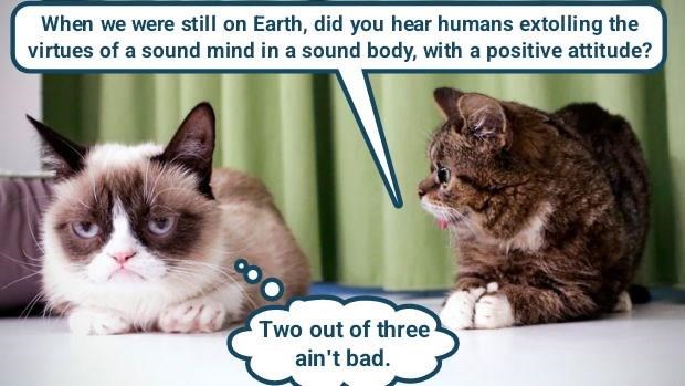 When we were still on Earth, did you hear humans extolling the virtues of a sound mind in a sound body, with a positive attitude? Two out of three ain't bad.
