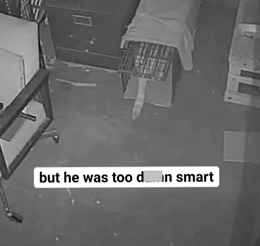 but he was too din smart