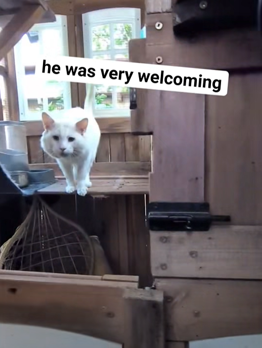 he was very welcoming