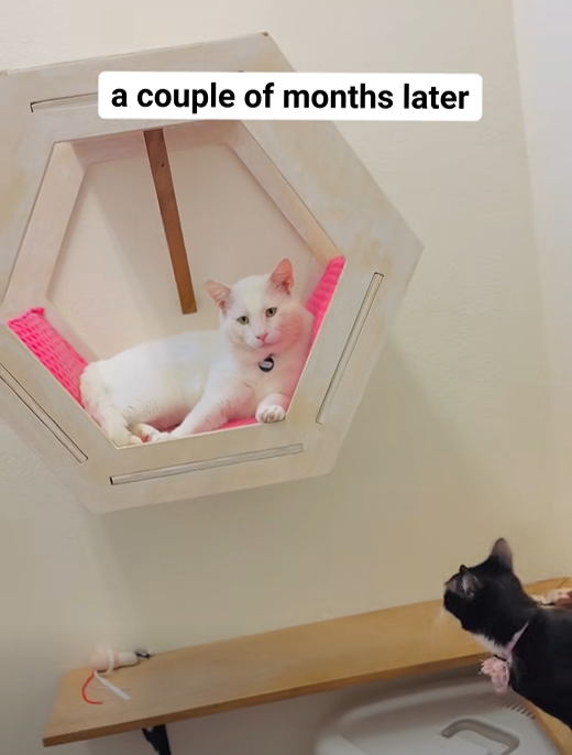 a couple of months later