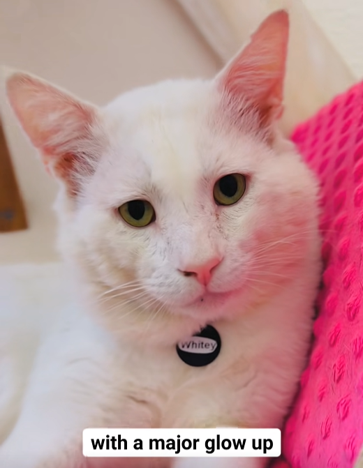 Whitey with a major glow up