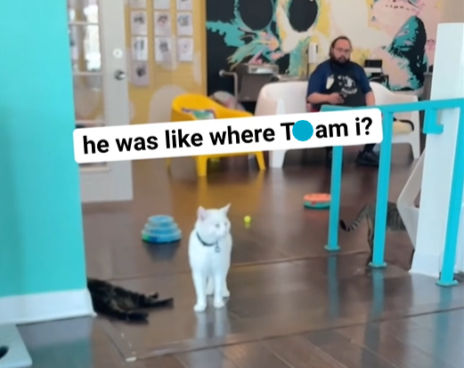 he was like where T❤am i?