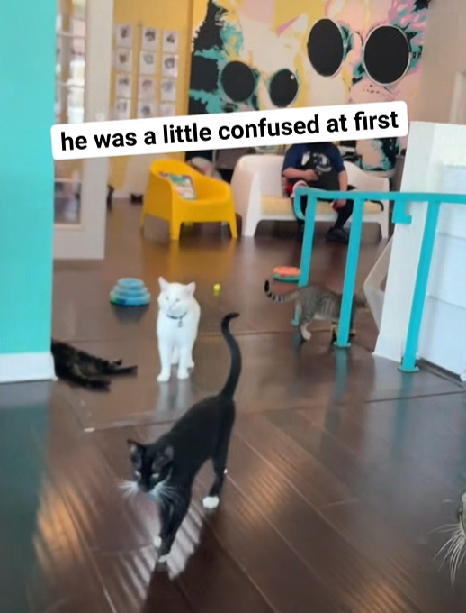 he was a little confused at first