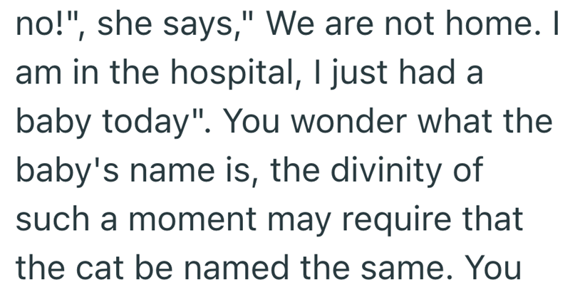 no!", she says," We are not home. I am in the hospital, I just had a baby today". You wonder what the baby's name is, the divinity of such a moment may require that the cat be named the same. You