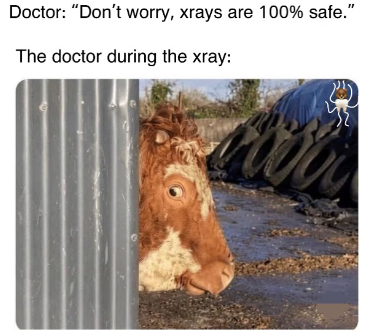 Doctor: "Don't worry, xrays are 100% safe." The doctor during the xray: