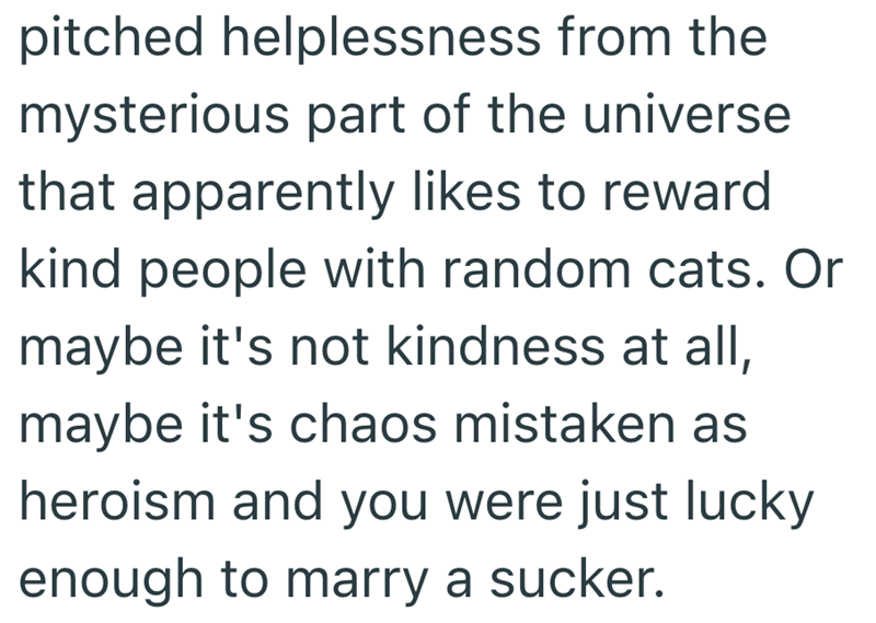 pitched helplessness from the mysterious part of the universe that apparently likes to reward kind people with random cats. Or maybe it's not kindness at all, maybe it's chaos mistaken as heroism and you were just lucky enough to marry a sucker.